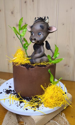 Isabelle Brun`s Torten Factory