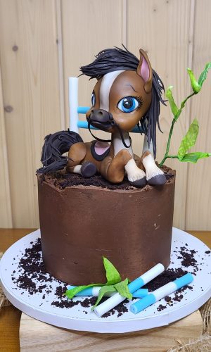 Isabelle Brun`s Torten Factory